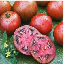 10 Adet Siyah Prens Domates Tohumu