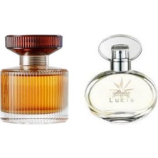 Amber Elixir - Lucia