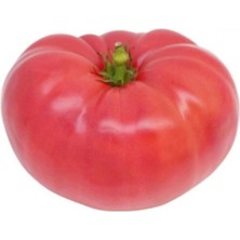ÇınarTohum Pembe Biftek Domates Tohumu