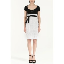 Siyah Kol ve Yaka Tül Mini Elbise 90484