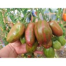 20 Adet Sweet Tooth Domates Tohumu