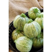 Beyaz Topak Kabak Tohumu / 5+ Adet Tohum