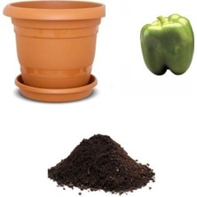 Nadir Yeşil Dev Dolmalık Biber Tohumu Ekim Seti