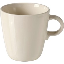 Kupa, Cilalı Bej, 37 cl