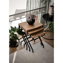 Modern Estetik Minimalist Çok Amaçlı Siyah Metal Ayak 3'lü Doğal Ahşap Zigon Sehpa