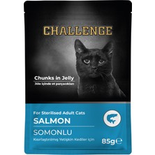 Challenge Somonlu Kısırlaştırılmış Yetişkin Kedi Pouch 85 gr