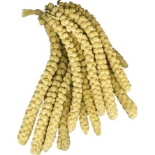 Sarı Dal Darı 500G