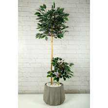 Yapay Çiçek Dekoratif Beton Saksıda Starlight Benjamin Ağacı Bambu Gövdeli Salon Ev Bitki 105 cm