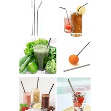 Mucit Home 2 Li Paslanmaz Çelik Pipet + Temizleme Fırçası