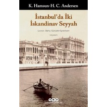 Istanbul'da Iki Iskandinav Seyyah