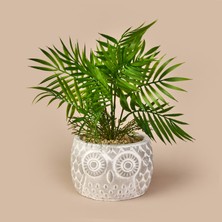 Objevi Areka Saksılı Yapay Çiçek - Gri / Yeşil - 35 cm