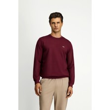 Kiğılı Bisiklet Yaka Regular Fit Nakışlı Basic Sweatshirt