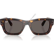 Rayban 0RB7683S 902/B1 55 Unisex Günes Gözlük