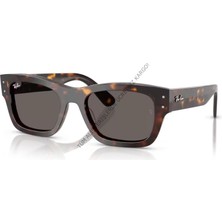 Rayban 0RB7683S 902/B1 55 Unisex Günes Gözlük