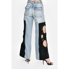 DQ253335 Jean Lazer Kesim
