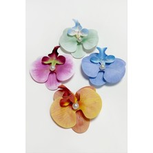 Orkide Pens Toka 8 cm