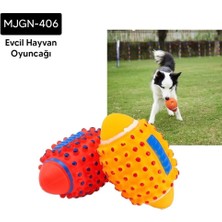 Kedi Köpek Amerikan Topu