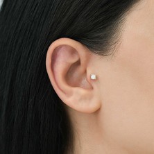 Tektaş Piercing