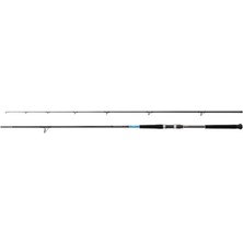 Shimano Kamış Bassterra Xt Shore Jigging 10'0" 50-150G