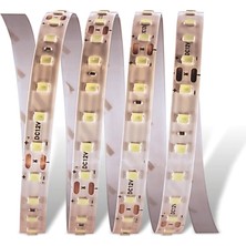 5 Metre Cata Ct 4540 Iç Mekan 12V 120 Ledli Şerit LED 4000K Ilık Beyaz