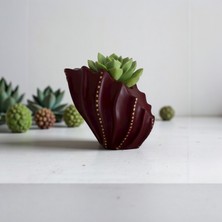 Deniz Kabuğu Formlu Bordo-Gold Vazo