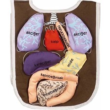 AND-5011 Organ Önlüğü Organlar Cırt Bantlı