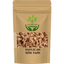 Havlıcan Tane (Alpinia Officinarum) 100GR