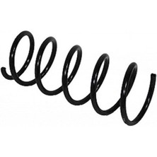 Gunsan 070720 - Helezon Yayı Arka Dacıa Duster 10