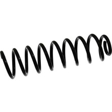 Gunsan 020085 - Helezon Yayı Arka Renault Megane Iı 02