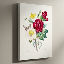 Vintage Botanik Çiçek Illüstrasyon Tablosu