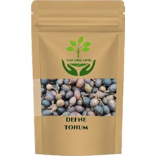 Tan Organik Defne Tohumu 1.kalite 50GR