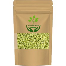 Rezene Tohumu Paket 100GR