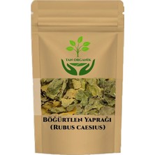 Böğürtlen Yaprak 250GR