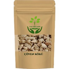 Tan Organik Çöven Kökü 250GR
