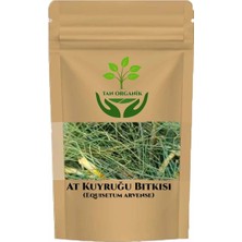 At Kuyruğu Bitkisi (Equisetum Arvense) Kırkkilit Otu 50GR
