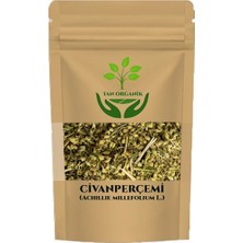 Civanperçemi Çayı (Achillie Millefolium L.) 35GR
