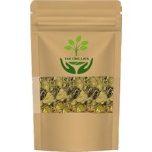Gimneya (Gymnema Sylvestre) Cinnema Gurmar 500GR