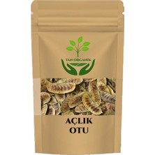 Açlık Otu (Deve Gözü) 1000GR