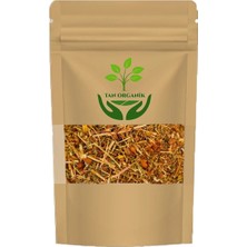 Sarı Kantaron Otu (Hypericum Perforatum) 250GR
