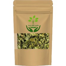 Moringa Yaprak 50GR