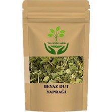 Beyaz Dut Yaprağı Çayı (Morus Alba) 25GR
