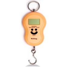 Elektronik Dijital El Kantarı 50 kg