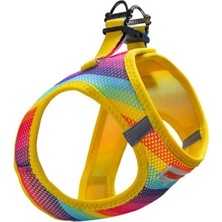 Köpek Göğüs Tasması Renkli