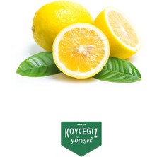 Köyceğiz Yöresel Kb Köyceğiz Yöresel Köyceğiz Limonu 8 kg