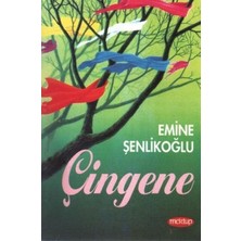 Çingene