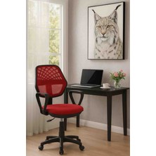 Ofis Koltuğu, Büro Koltuğu, Çalışma Sandalyesi, Oyuncu Koltuğu, Patron Koltuğu, Ofis Sandalyesi