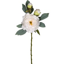 Çiçek Şakayık Beyaz 62 Cm.