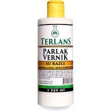 Su Bazlı Parlak Vernik 250 ml Akrilik ve Yağlı Boya Koruyucu