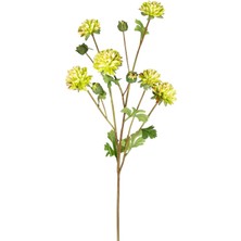Krizantem Yeşil 77 Cm.