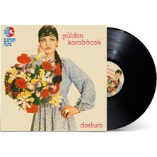 Şeyler Gülden Karaböcek Dostum Plak